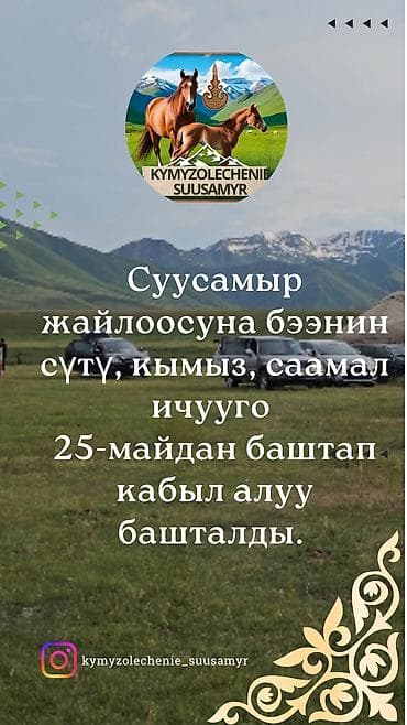 Кумысолечебница «Бекзат» Услуга: - Кумысолечение на жайлоо Суусамыр