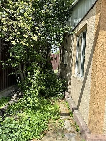 Үйдү ижарага алам: 60 м², 4 бөлмө — 7