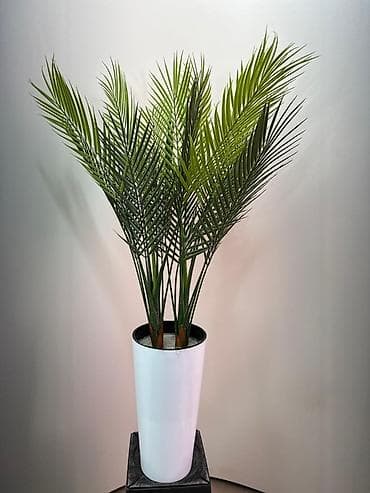 Сүрөттөр жана портреттер: Искусственные напольные растения в кашпо — готовое оформление для — 5