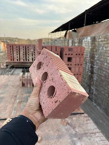 подарок жене: Пустотелый, дырчатый, Жженый кирпич, Полублок, 250×120×90 — 3