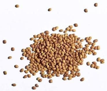 лимонный соус: Семена люцерны . Продаю урожай 2025 год — 1