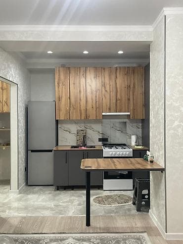 элитные дома в бишкеке: Студия с кухней и санузлом Планировка и отделка: - Компактная — 1