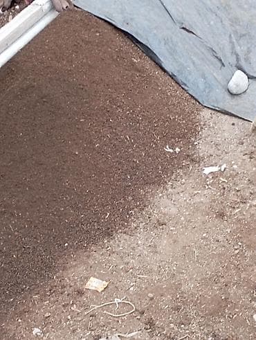 земля в мешках: Продаю Биогумус! - Мелкая однородная фракция: легко распределяется — 3