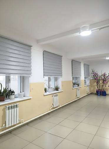 Рулонные шторы «день-ночь» (зебра), цвет светло-серый. - Тип