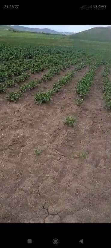 обмен на земельный участок: 1800 соток Айыл чарба үчүн — 6