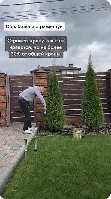 a 70: Стрижка и формовка хвойных и декоративных кустарников — 3
