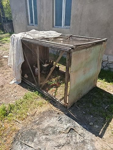 сетка для несушки: Клетка для цепят размер высота 1-метр, ширина 1-метр,, длина 1,6- — 5