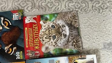 диски для дивиди: Цена за набор. Подборка познавательных книг и энциклопедий для детей — 3