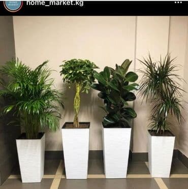 цветочница: Цветочные горшки Лотки, Висячие горшки, Прямоугольные горшки — 15