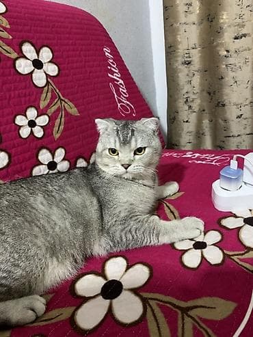 меховой коврик: Покрывало/накидка для дивана с цветочным узором - Тип: стёганое — 1