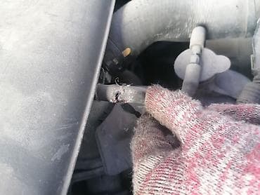 цветы балыкчы фото: Грузоперевозки и переезды по Кыргызстану Маршруты: Ош, Талас, Нарын — 6