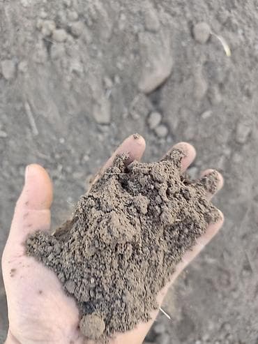 яблоки с сада: Чернозём плодородный для огорода, газона и ландшафта. Характеристики — 3