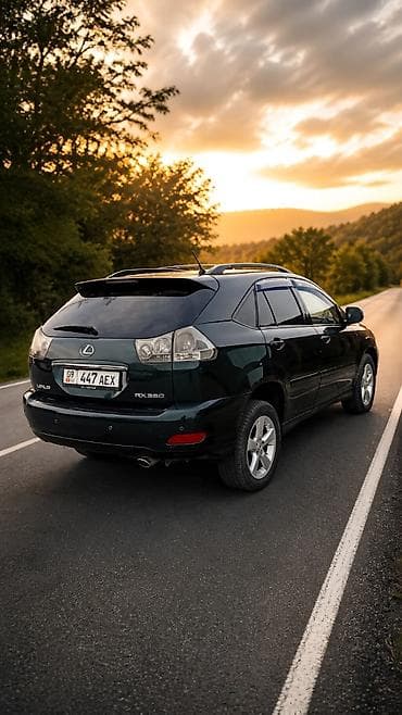 Lexus RX: 2003 г., 3.3 л, Автомат, Бензин, Кроссовер — 3