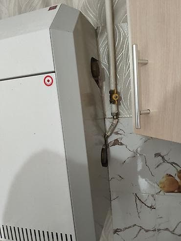 давленя: Газовый котёл Для дома, Тип управления: Автоматический — 1