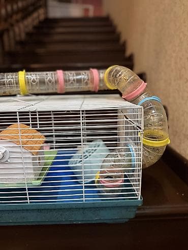 продаю животных: Клетка для хомяка с игровым тоннелем и аксессуарами - Просторная — 5