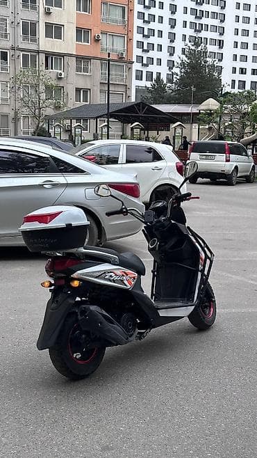 мопед альфа бишкек: На продаже новый самурай без никаких вложений только айдаш керек,150 — 5