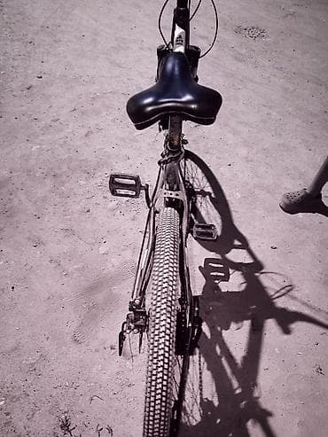 fixed gear: Горный велосипед, Сталь — 4