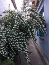 дом село аламедин: Дом, 127 м², 6 комнат, Собственник, Старый ремонт — 8