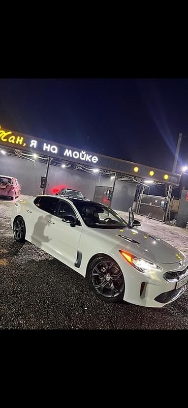 радар авто: Kia Stinger: 2019 г., 2 л, Автомат, Бензин, Лифтбек — 6