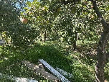 premium development: Дом, 58 м², 4 комнаты, Собственник, ПСО (под самоотделку) — 6