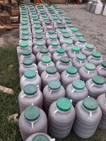 помидор оптом цена: Токтогульский горный мёд
чистый,натуральный
оптом 6500 — 1