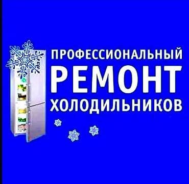 Профессиональный ремонт холодильников. - Диагностика и устранение