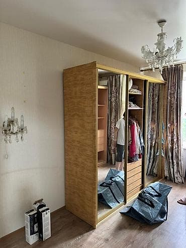 Шкаф купе, С зеркалом