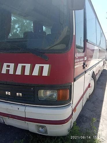 автобусы: Автобус — 3