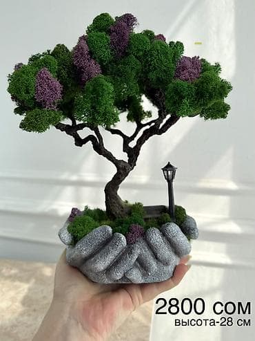 искусственный мох: Цены от 1500 сом( указаны на фото) В наличии и на заказ (3-7 дней) — 1