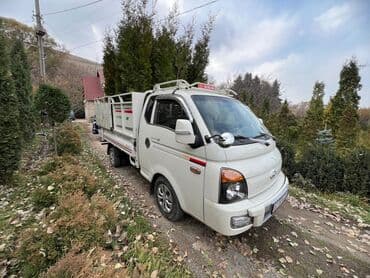 Реклама, печать: Портер, Переезд, перевозка мебели, По региону, По городу, с грузчиком — 1