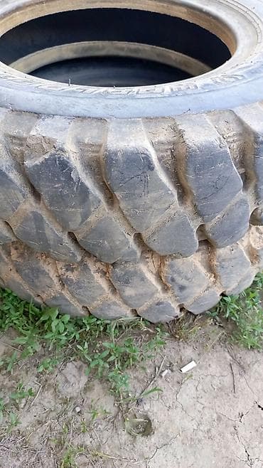 шины 24550 r20 зима: Шины для спецтехники экскаватор 140 — 2