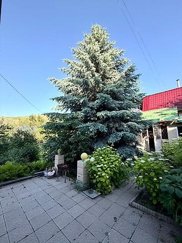 кафеге жумуш керек: 7 соток, Курулуш, Кызыл китеп, Техпаспорт — 9