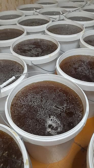 Бал, Мёд, асел 🍯 ДҮҢ САТЫЛАТ! Токтогулдун табигый тоо балы Таза