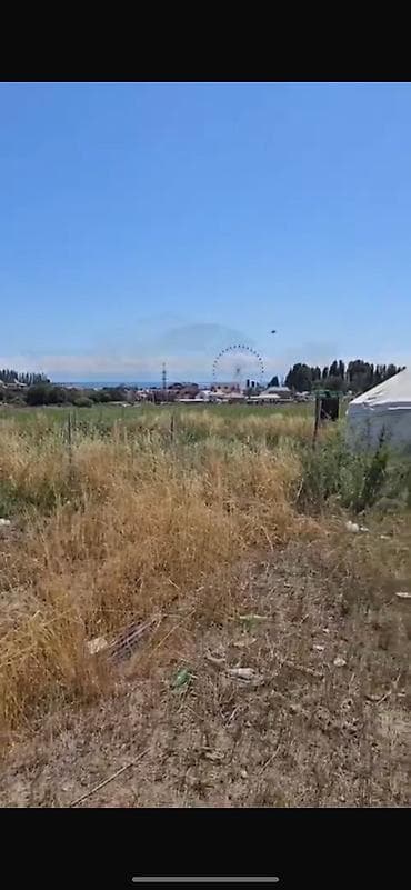 бишкек участо: 10 соток, Бизнес үчүн, Кызыл китеп — 4