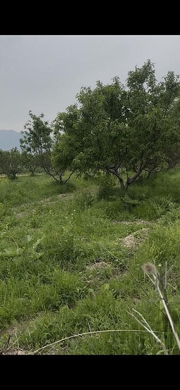 43 соток, Для сельского хозяйства