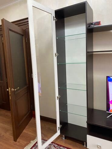 аквариум с тумбой: Гарнитур для зала, Б/у, Тумба под ТВ, ДСП, Самовывоз — 5