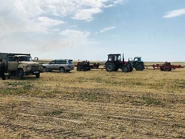 семена редьки маргеланская: Семена кормовых растений: Эспарцет, Самовывоз — 5