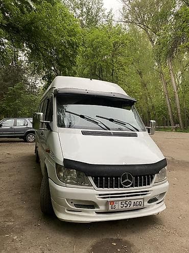 space runner: Mercedes-Benz Спринтер: 2002 г., 2.9 л, Механика, Дизель, Бус — 1