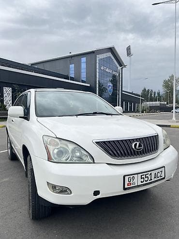 7 1: Lexus RX: 2004 г., 3.3 л, Автомат, Газ, Кроссовер — 1