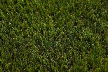 цена искусственного газона для футбольного поля: Искусственный газон для футбольных полей, искусственный газон для мини — 25
