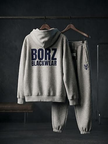 футболка borz: Мужской спортивный костюм, L, XL, Borz, Новый, цвет - Серый, Самовывоз, Платная доставка — 1
