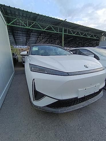daf 2019: Dongfeng : 2025 г., Робот, Электромобиль, Кроссовер — 3