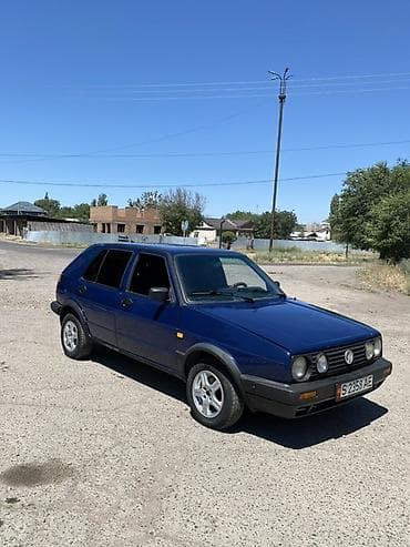 220 s class: Volkswagen Golf: 1991 г., Хэтчбэк — 3