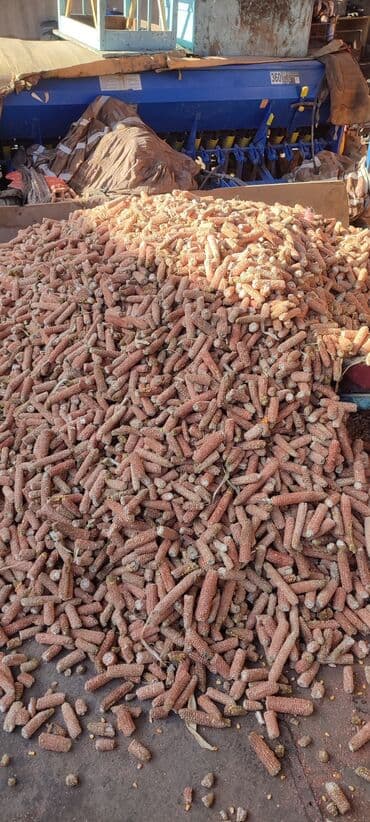 искусственные цветы бишкек инстаграм: Дрова Самовывоз — 2