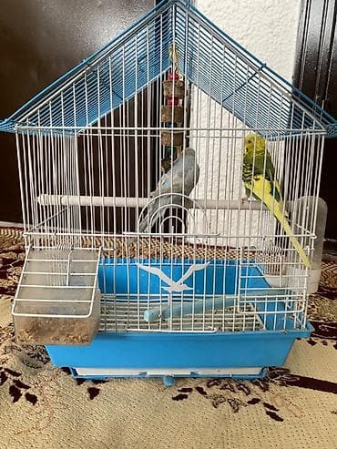 маркой свинка: Клетка для волнистых попугаев с аксессуарами. - Форма «домик» — 4