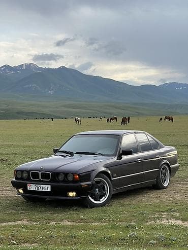 молдинг на е34: BMW 5 series: 1993 г., 2.5 л, Бензин, Седан — 1