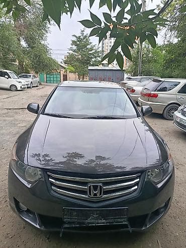 Транспорт: Honda Accord: 2008 г., 2.4 л, Автомат, Бензин, Седан — 1
