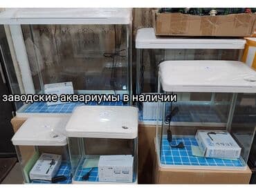 акустические системы стационарные колонка в виде собак: Новый аквариум заводской. Комплект с помпой-фильтром, светильником — 6