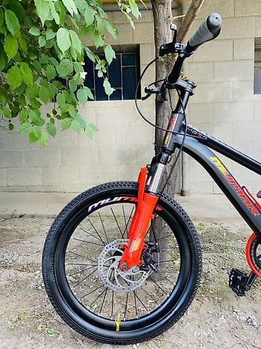 Велосипеддер: Өспүрүм балдар үчүн велосипед, Жаңы — 3