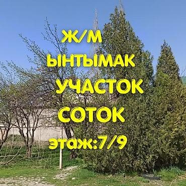 Жер тилкелери: 8 соток, Курулуш, Кызыл китеп, Техпаспорт — 1